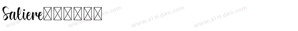 Saliere字体转换
