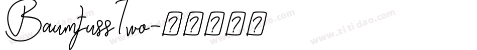 BaumfussTwo字体转换