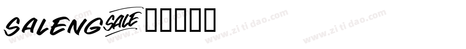 saleng字体转换