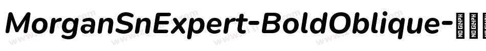 MorganSnExpert-BoldOblique字体转换