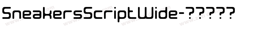 SneakersScriptWide字体转换