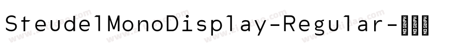 SteudelMonoDisplay-Regular字体转换
