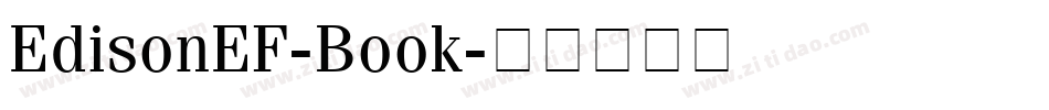EdisonEF-Book字体转换