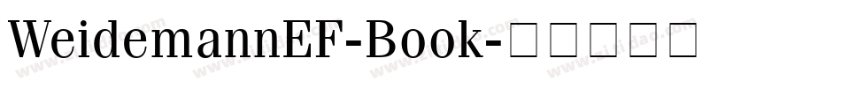 WeidemannEF-Book字体转换