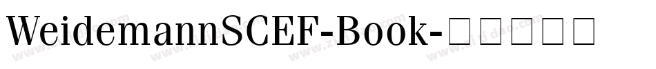 WeidemannSCEF-Book字体转换
