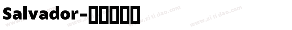 Salvador字体转换