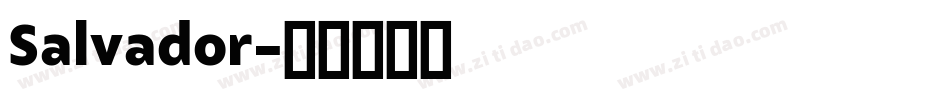 Salvador字体转换