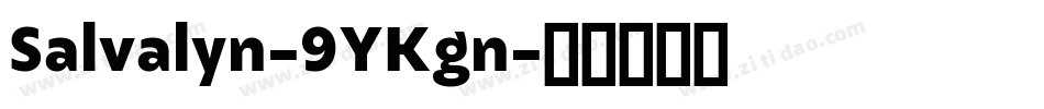 Salvalyn-9YKgn字体转换