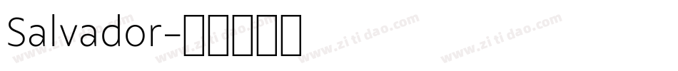 Salvador字体转换