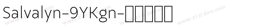 Salvalyn-9YKgn字体转换