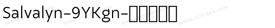 Salvalyn-9YKgn字体转换