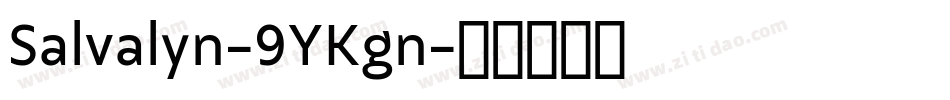 Salvalyn-9YKgn字体转换
