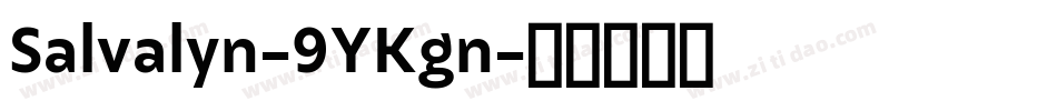 Salvalyn-9YKgn字体转换