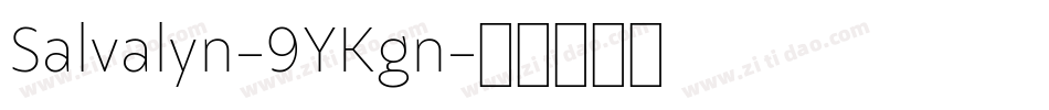 Salvalyn-9YKgn字体转换
