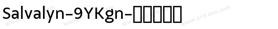 Salvalyn-9YKgn字体转换