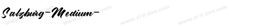 Salzburg-Medium字体转换