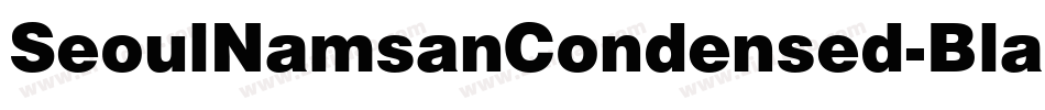 SeoulNamsanCondensed-Black字体转换