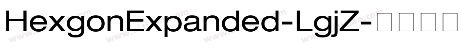 HexgonExpanded-LgjZ字体转换