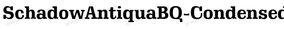 SchadowAntiquaBQ-CondensedBold字体转换