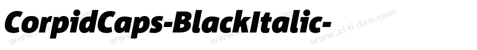 CorpidCaps-BlackItalic字体转换