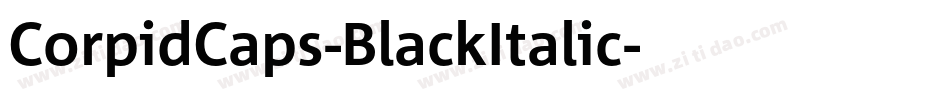 CorpidCaps-BlackItalic字体转换