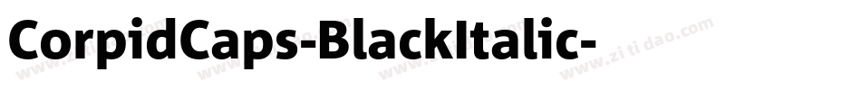 CorpidCaps-BlackItalic字体转换