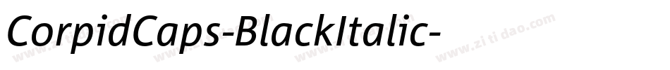 CorpidCaps-BlackItalic字体转换