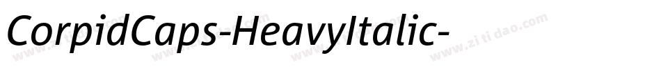 CorpidCaps-HeavyItalic字体转换