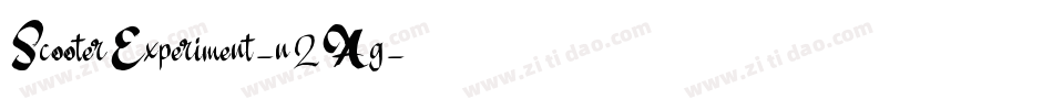 ScooterExperiment-n2Ag字体转换