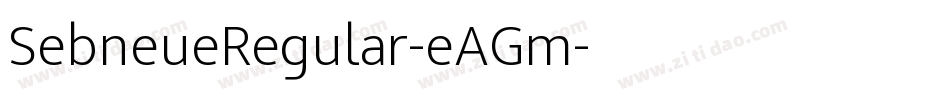 SebneueRegular-eAGm字体转换