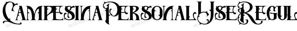 CampesinaPersonalUseRegular-w13Pw字体转换 CampesinaPersonalUseRegular-w13Pw字体转换