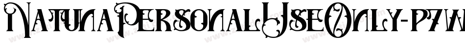 NatunaPersonalUseOnly-p7wWD字体转换