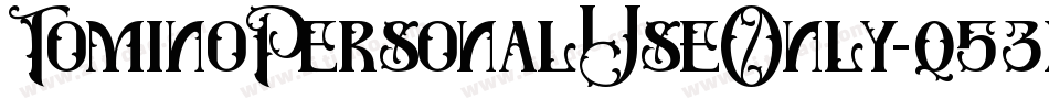 TominoPersonalUseOnly-q53x字体转换