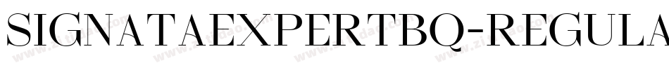 SignataExpertBQ-Regular字体转换