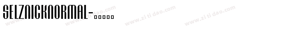 SelznickNormal字体转换