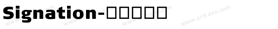 Signation字体转换