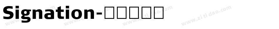 Signation字体转换