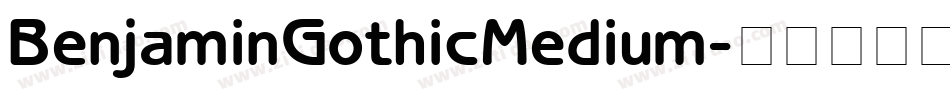 BenjaminGothicMedium字体转换