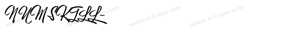 NUMSKILL字体转换