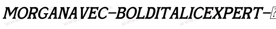 MorganAvec-BoldItalicExpert字体转换