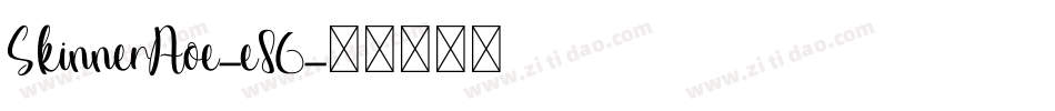 SkinnerAoe-e86字体转换