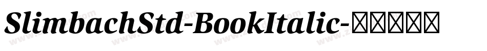 SlimbachStd-BookItalic字体转换
