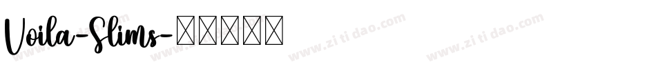 Voila-Slims字体转换