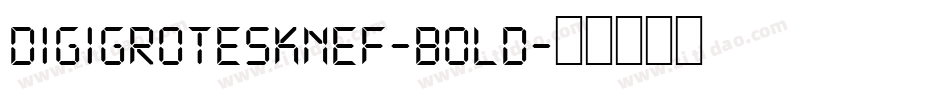 DigiGroteskNEF-Bold字体转换