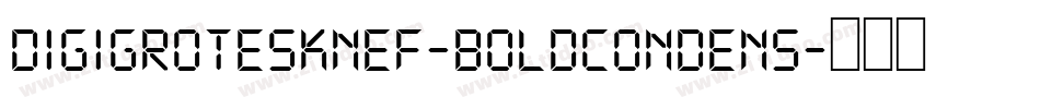 DigiGroteskNEF-BoldCondens字体转换