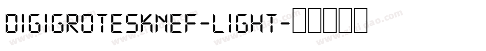 DigiGroteskNEF-Light字体转换