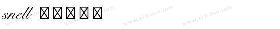 snell字体转换