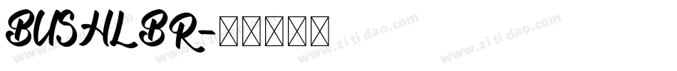 BUSHLBR字体转换