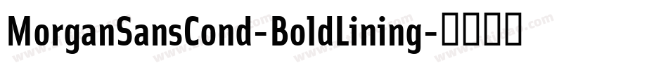 MorganSansCond-BoldLining字体转换