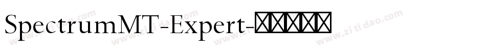 SpectrumMT-Expert字体转换